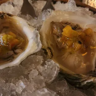 food, mussels, shellfish, oysters and mussels, oysters