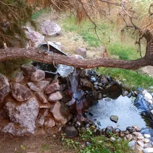 Transcend yourself into a peaceful  environment!