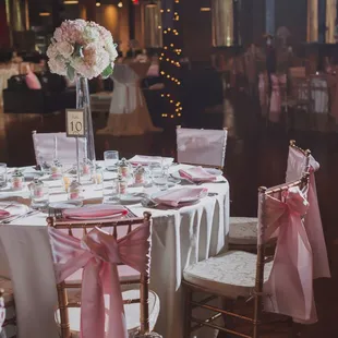 Photo by: Stacy Able Photography