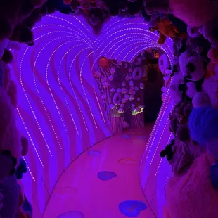 The stuffed animal hall