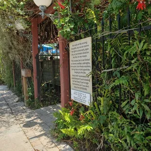 Perfect solo lunch entrance for Friday