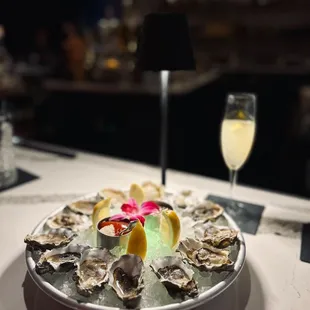 Happy hour oysters