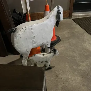 a goat on a scooter