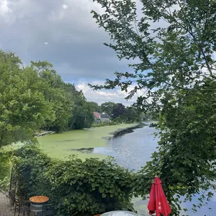 View outside the window