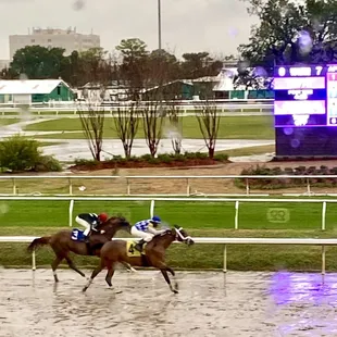 The 4 was ridden by Shawn Parker, my father in law's favorite jockey.