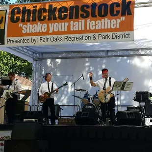 Fair Oaks Chicken Festival - Chickenstock!