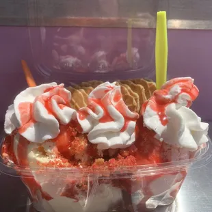 Ice cream nachos! I don't remember what the food truck name was but these were cool