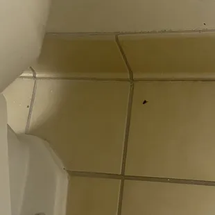 dead fly and gross bathroom flooring