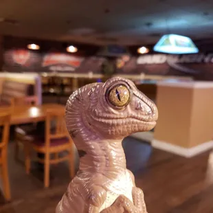 Bob the Raptor says "These mammals have pool tables and stuff!"