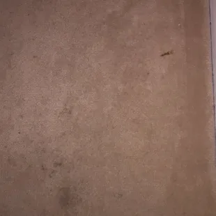 More carpet stains.