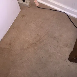 Stains on the carpet.