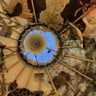 interior, sushi and sashimi