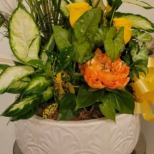 Dish Garden for funeral service