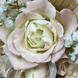 $50 corsage with damaged spray roses.