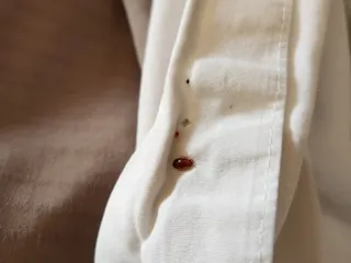 Mountain Trail Lodge