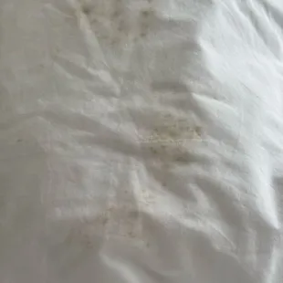 The pillow in my room.