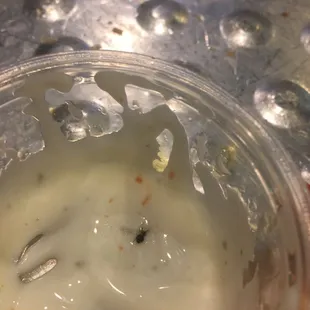 Gnat is ranch dressing