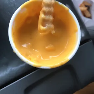 Cheese fries