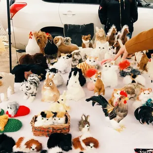 Cat collection www.nynomads.com