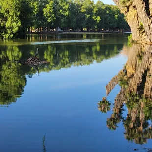 Can you spot the Heron? 07/23/2024