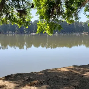 Dirty 'ol Lake Evans.