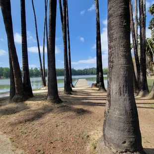 A fine May day (05/19/2024).