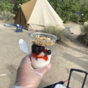 Parfait for breakfast