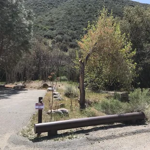 Campsite 4 is spacious