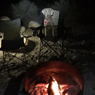 Campfire ref. Don't mind the giant puppy in his chair.