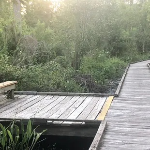 Occasional Benches along the Boardwalk