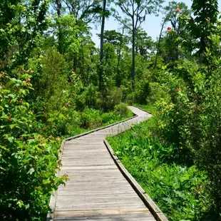 Boardwalk Trail