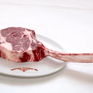 a piece of meat on a plate