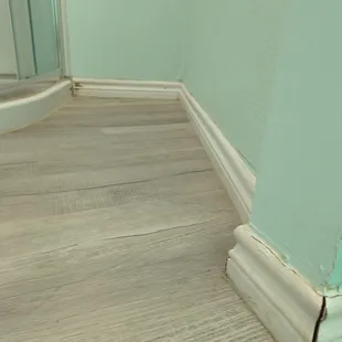 Baseboards and mold in master bathroom.