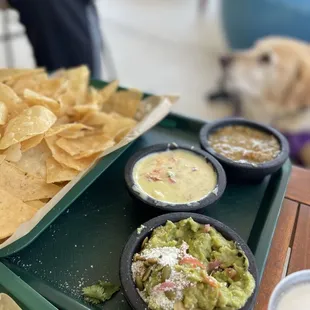 Trio of dips served with a tray of chips