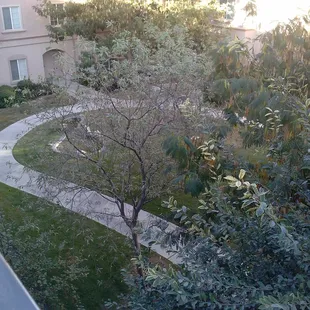 View from third floor apartment.