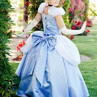 Dallas princess party, princess character dfw, dfw princess parties