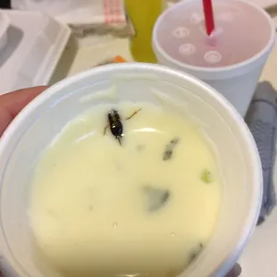a person holding a bowl of soup