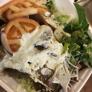 Gyro Plate