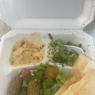 Falafel platter .
