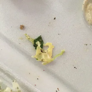 Plastic tie found in my Fatoush salad! Wish this was a lie, but it's true! :(