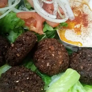 Falafel plate