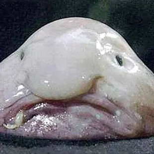 my lil buddy here :3