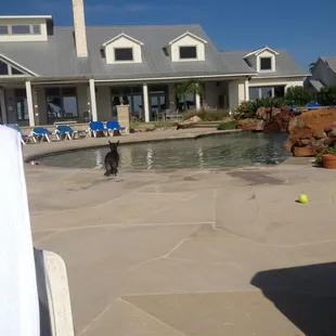 The pool: not the best angle, it's beautiful!