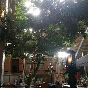 Outdoors brought inside