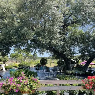 Beautiful garden area