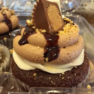 Peanut Butter Cup topped Cupcakes