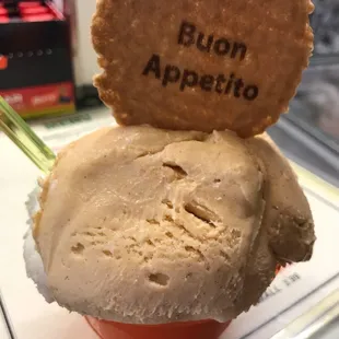 Pumpkin and vanilla gelato