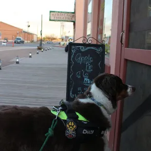 Waiting for his Ice cream