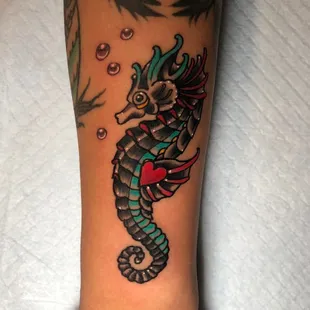 Traditional Seahorse tattoo done by AJ Cullen