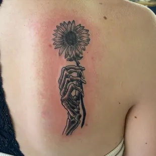 Darin did this at the el paso county fair and I loved it